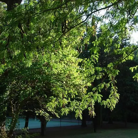 Domaine D'auriac - Relais & Chateaux Szálloda Carcassone