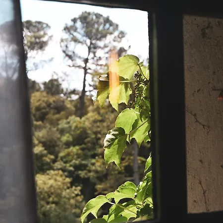 Domaine D'auriac - Relais & Chateaux מלון 5*