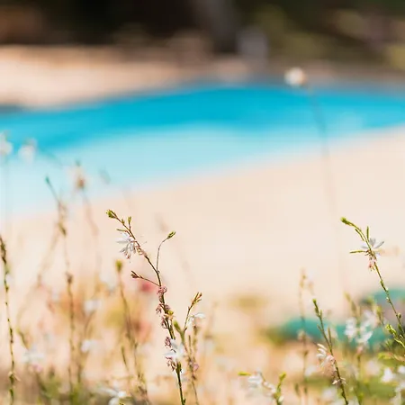 Domaine D'auriac - Relais & Chateaux 5* Carcassonne